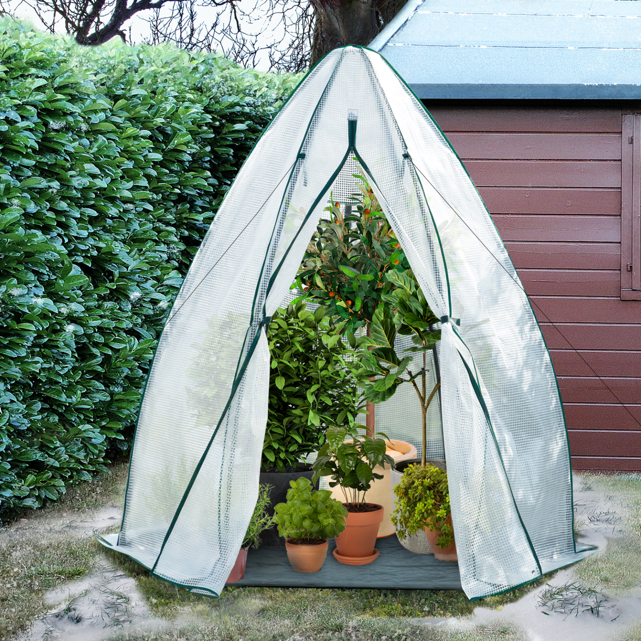 Voir la diapositive 2 : ID MARKET Serre d'hivernage dôme 160 x 160 x 180 cm balcon et terrasse