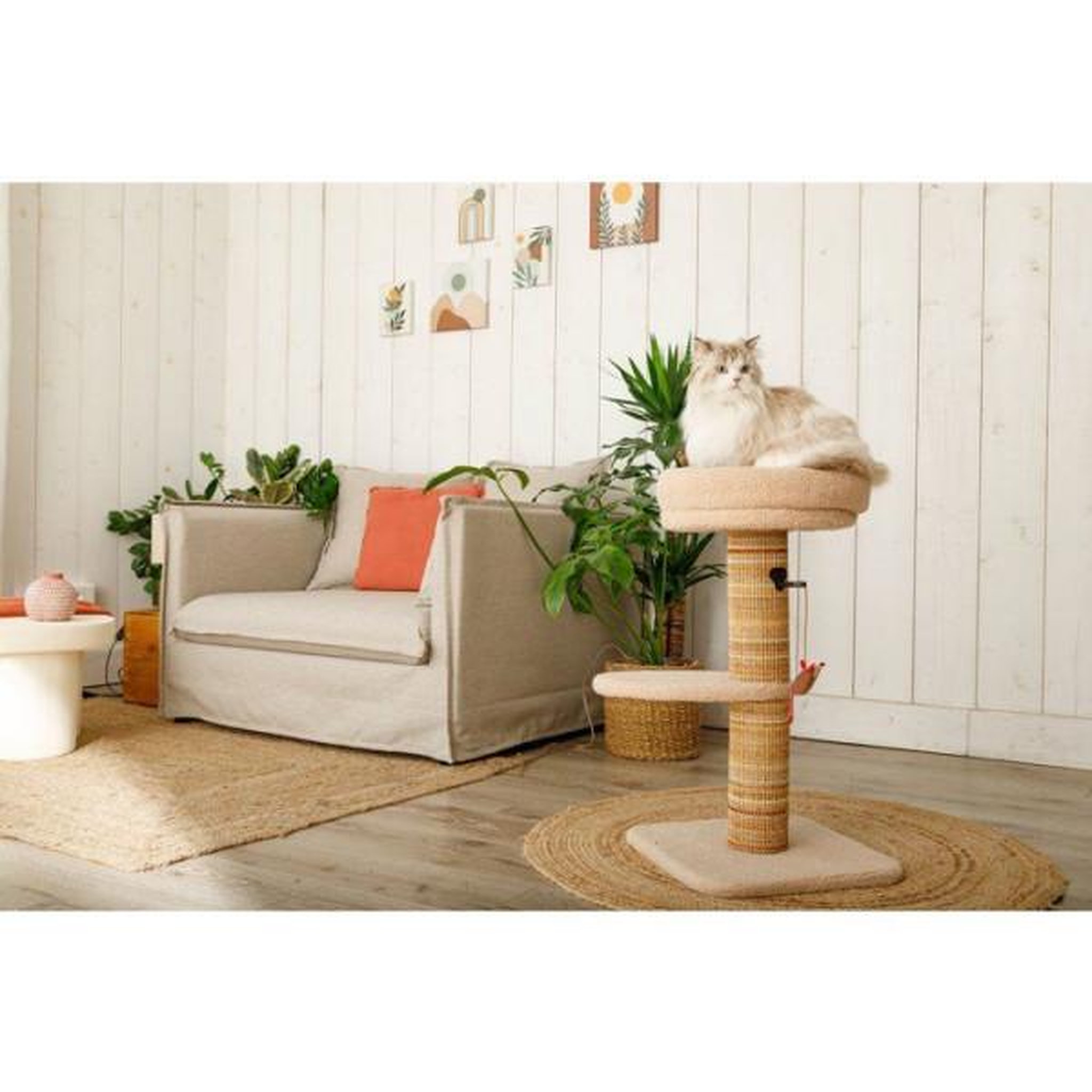 Voir la diapositive 2 : Zolux Arbre a chat griffoir - ZOLUX - Stable - Espace de repos - Jeu souris - Sisal - 70 cm - Boréal - Beige