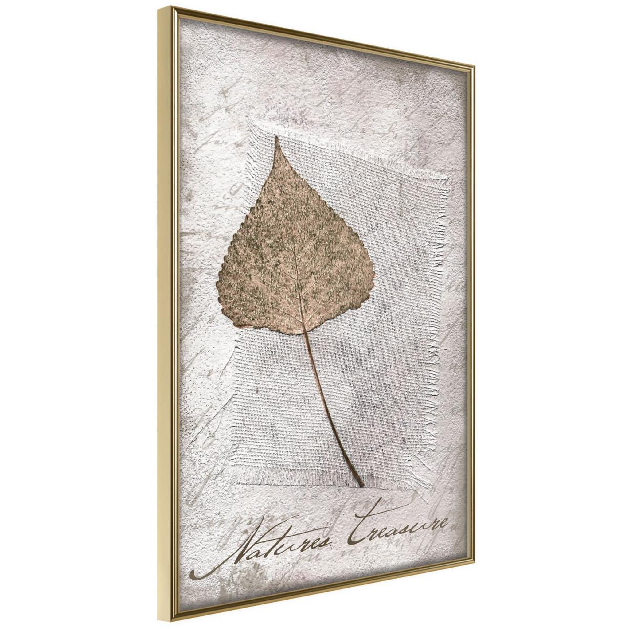 Paris Prix Affiche murale encadrée  dried leaf