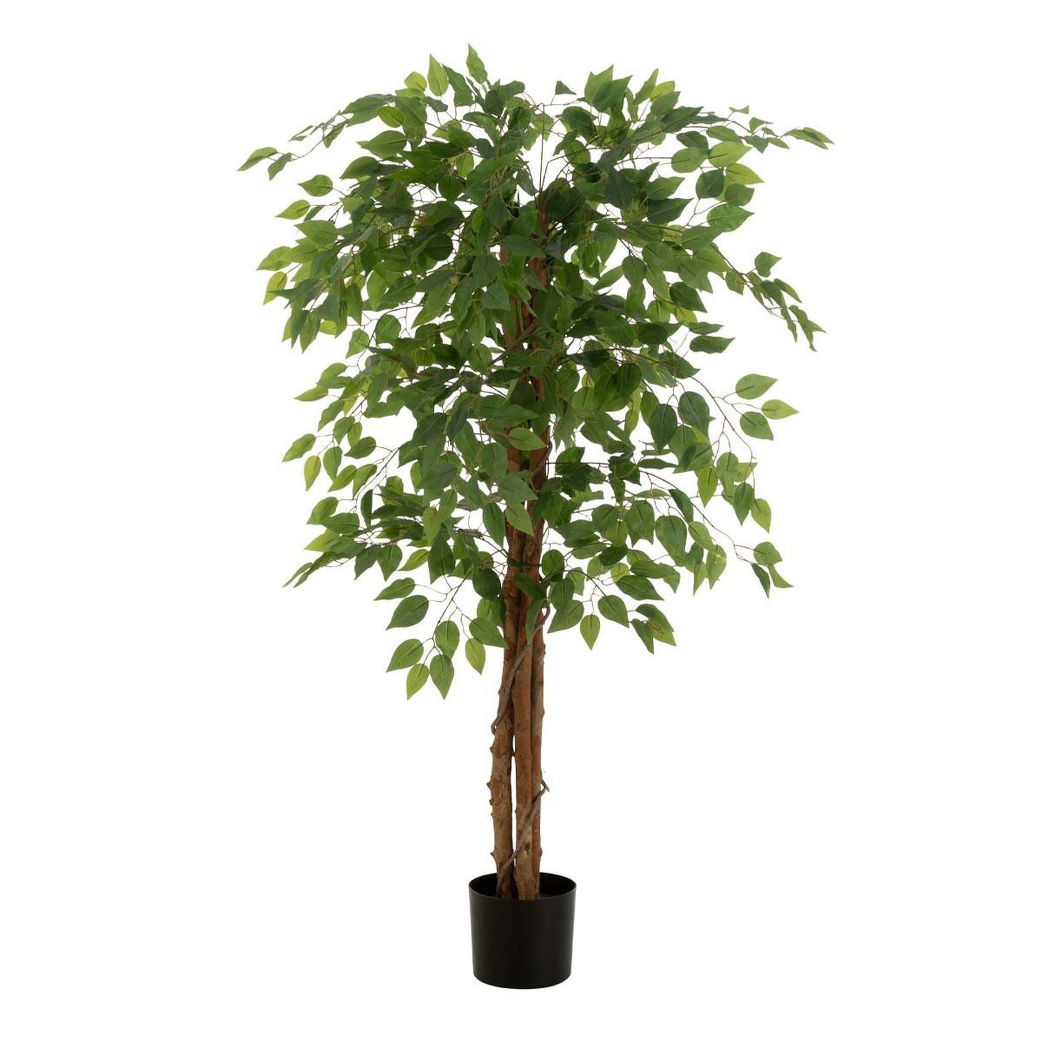 J-LINE Plante artificielle en pot  ficus  150cm vert