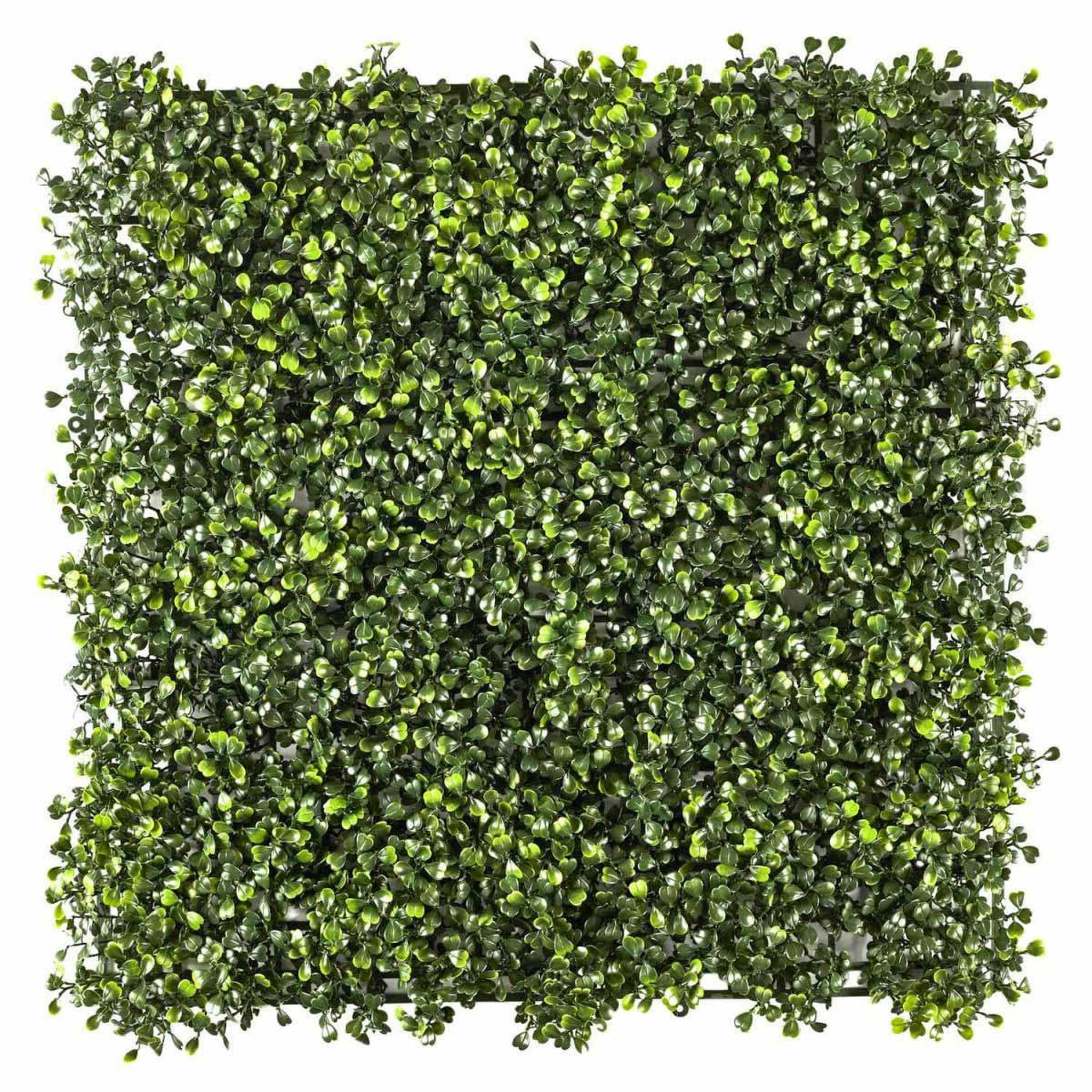 The Home Deco Factory Mur végétal artificiel  feuillage  50x50cm vert