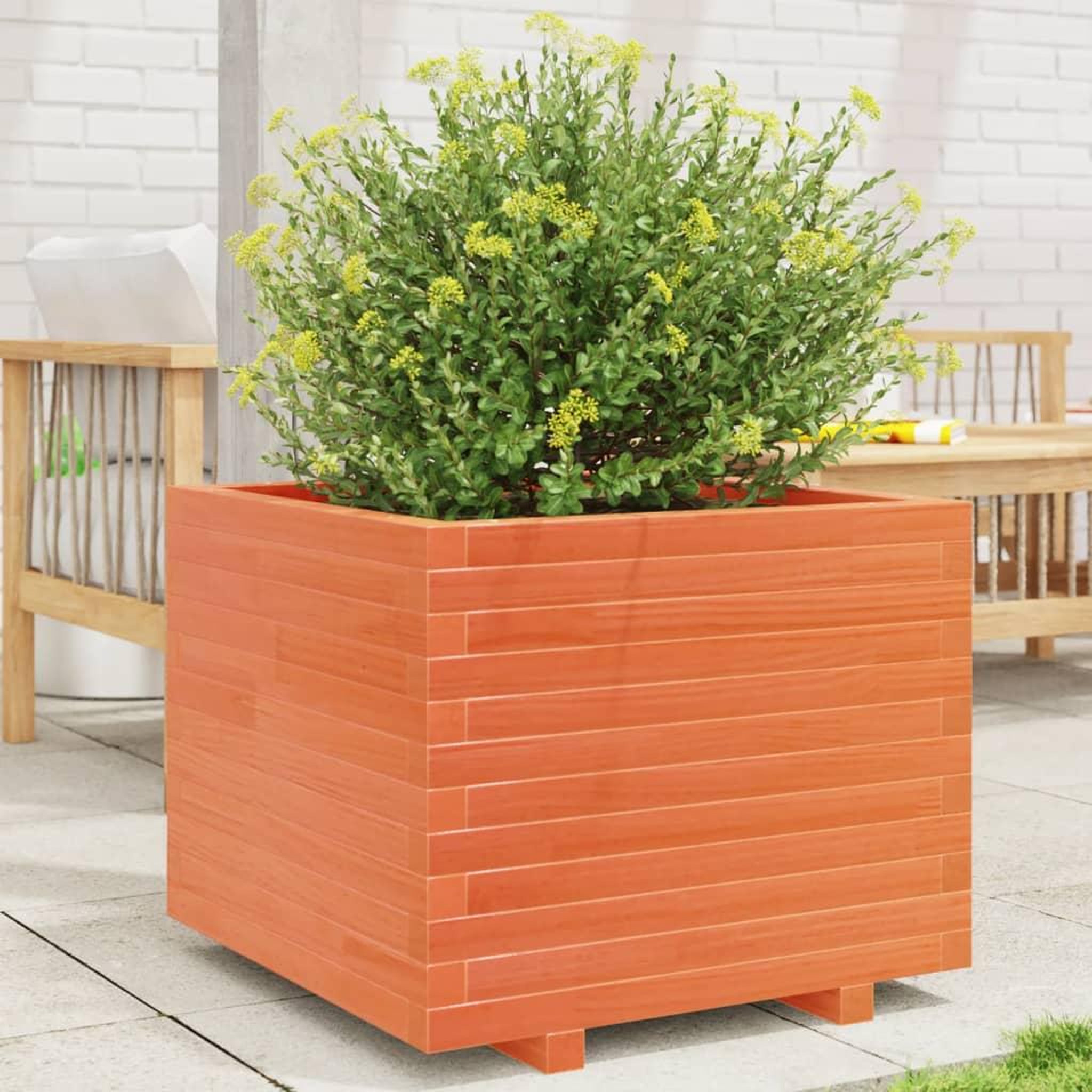 VIDAXL Jardiniere cire marron 60x60x49,5 cm bois de pin massif
