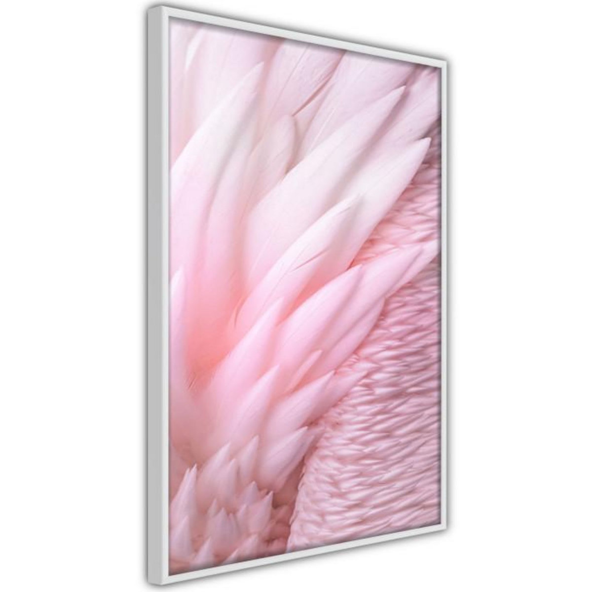 Paris Prix Affiche Murale Encadrée  Pink Feathers