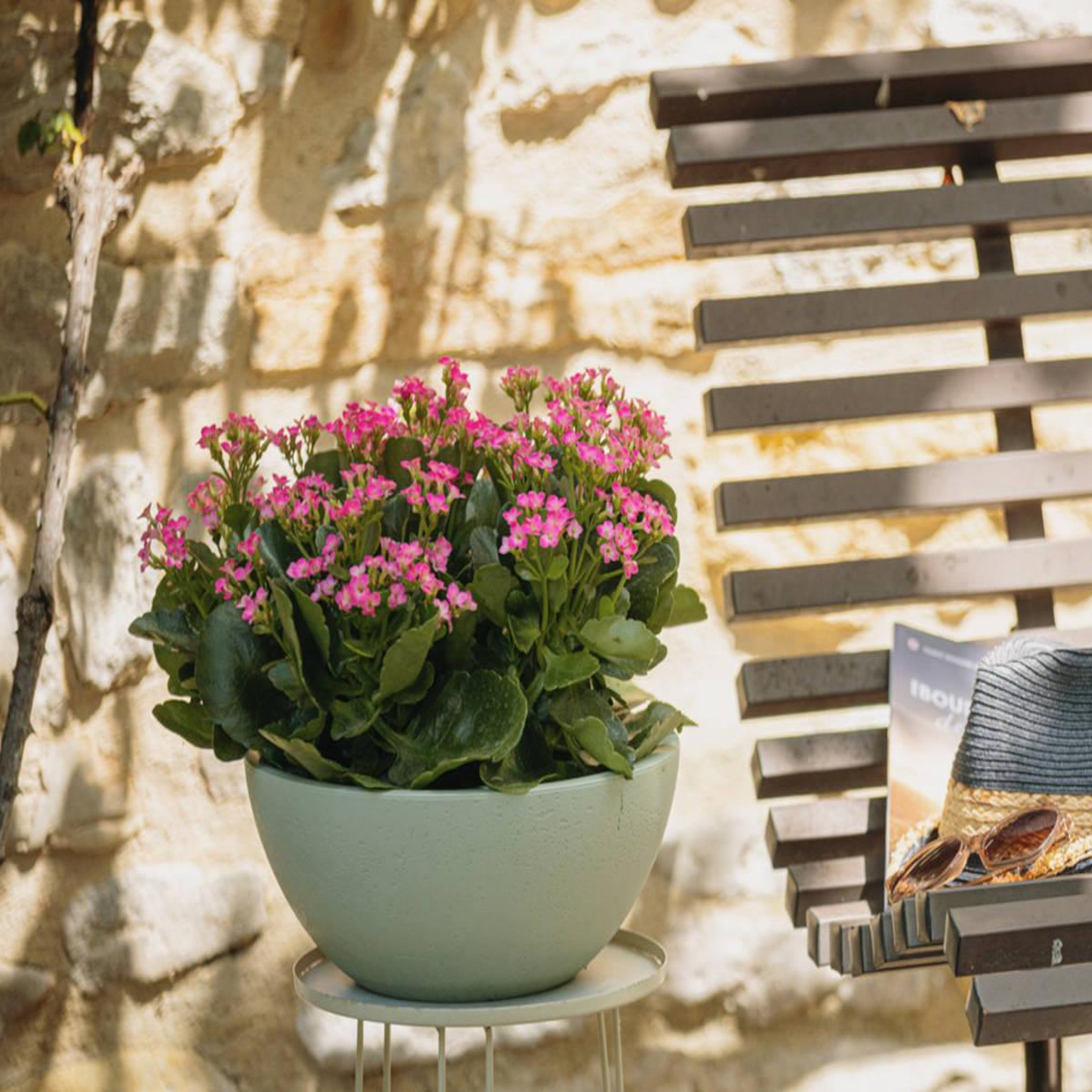 Voir la diapositive 2 : Eda Pot de fleurs vasque basalt up ø 24,5 x 10,5 cm - 3,3 l - vert amande - eda