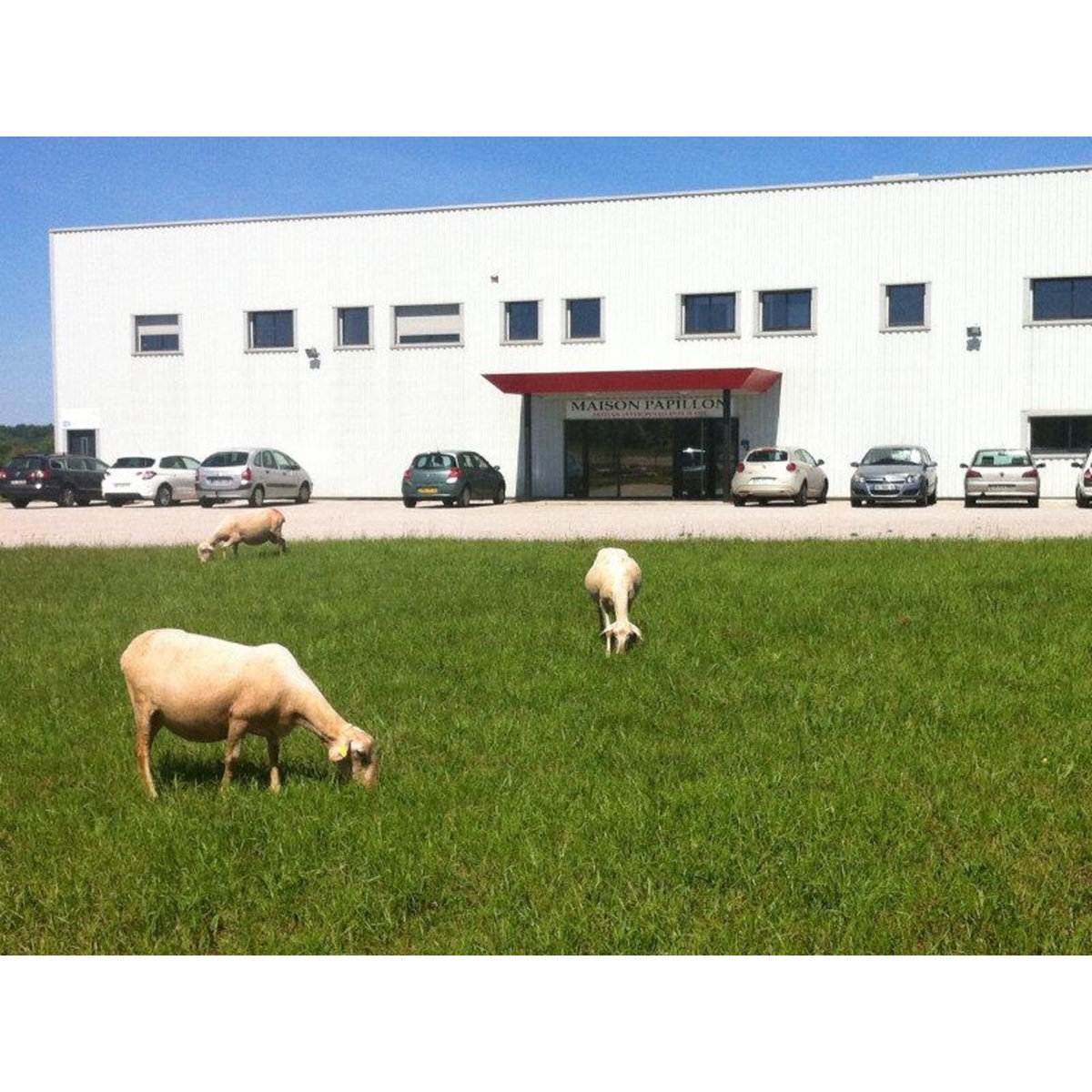 Smartbox Foie gras de canard entier de fabrication artisanale - Coffret Cadeau Gastronomie