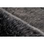 Voir la diapositive 2 : Paris Prix Tapis Imitation Fourrure à Poils Longs  Tender  Anthracite