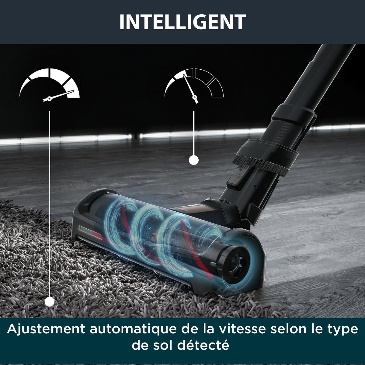 ROWENTA Aspirateur balai X-Force Flex 15.60 RH99F1WO