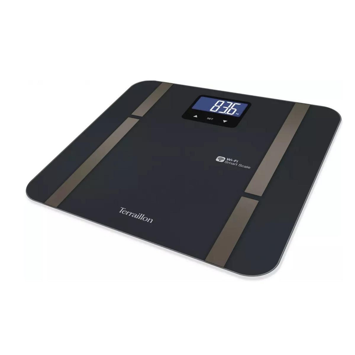 Terraillon Impédancemètre connecté 180kg 100g - MASTERFITULTRA/N