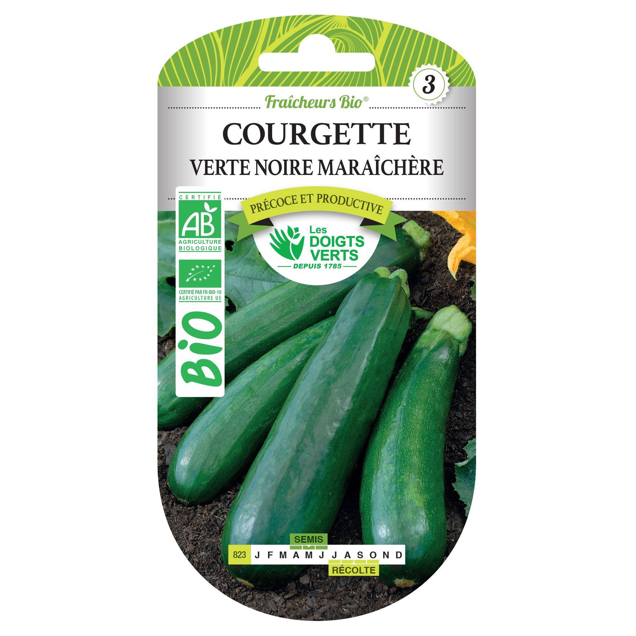 LES DOIGTS VERTS Graines courgette verte noire maraîchère BIO Les Doigts Verts