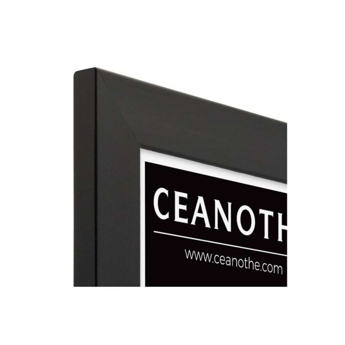 CEANOTHE Cadre Ceanothe CADRE 24X30 ETERNEL NOIR