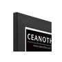 Voir la diapositive 4 : CEANOTHE Cadre Ceanothe CADRE 24X30 ETERNEL NOIR