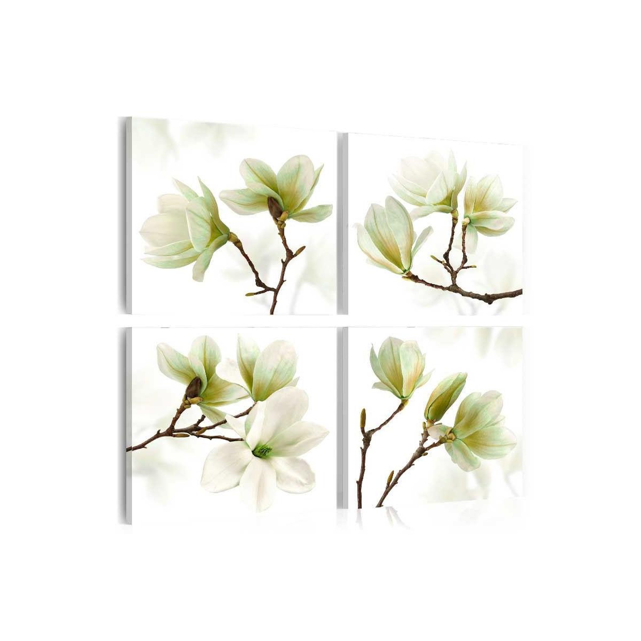 Voir la diapositive 1 : Paris Prix Tableau imprimé  admiration of magnolia