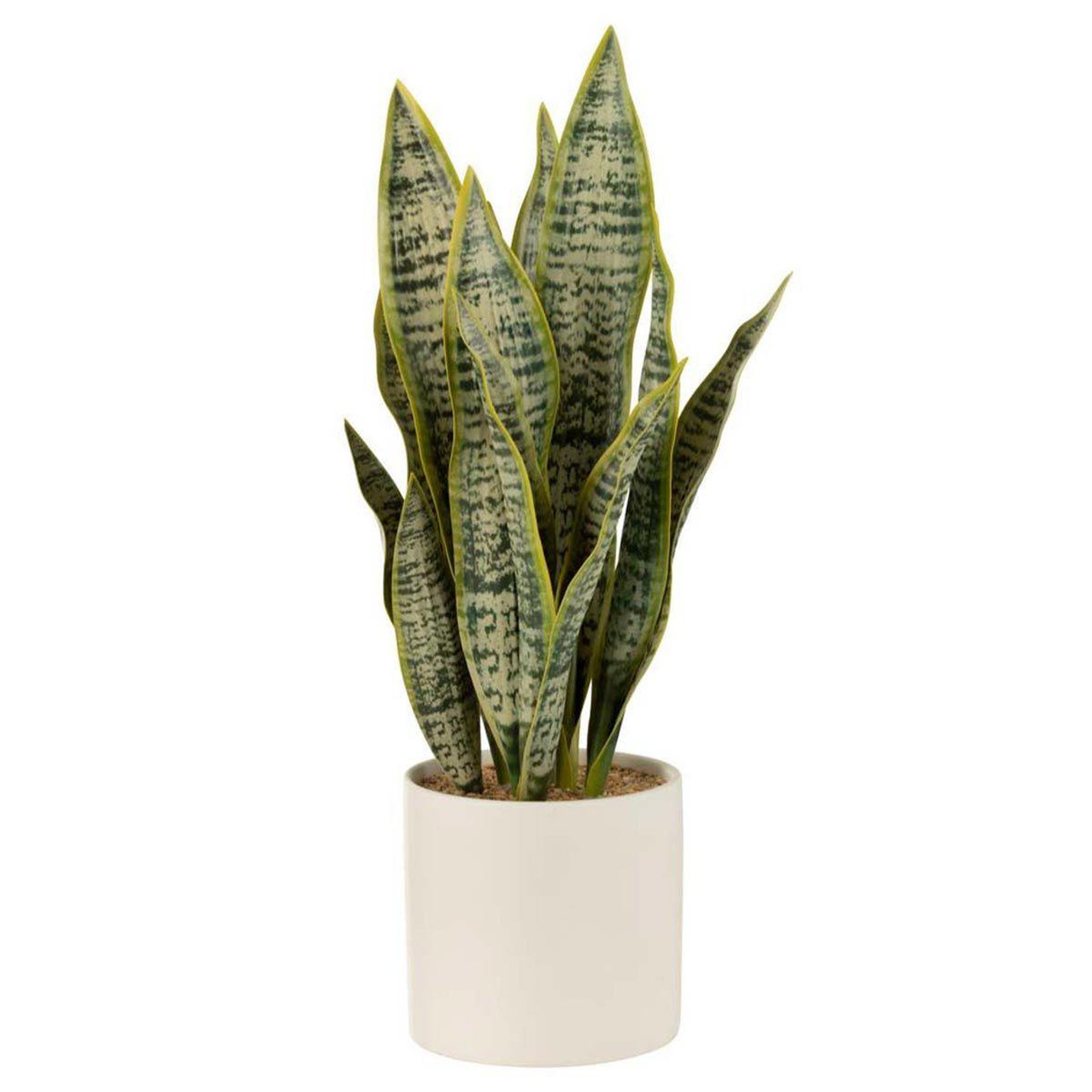 J-LINE Plante artificielle en pot  sansevieria  49cm vert