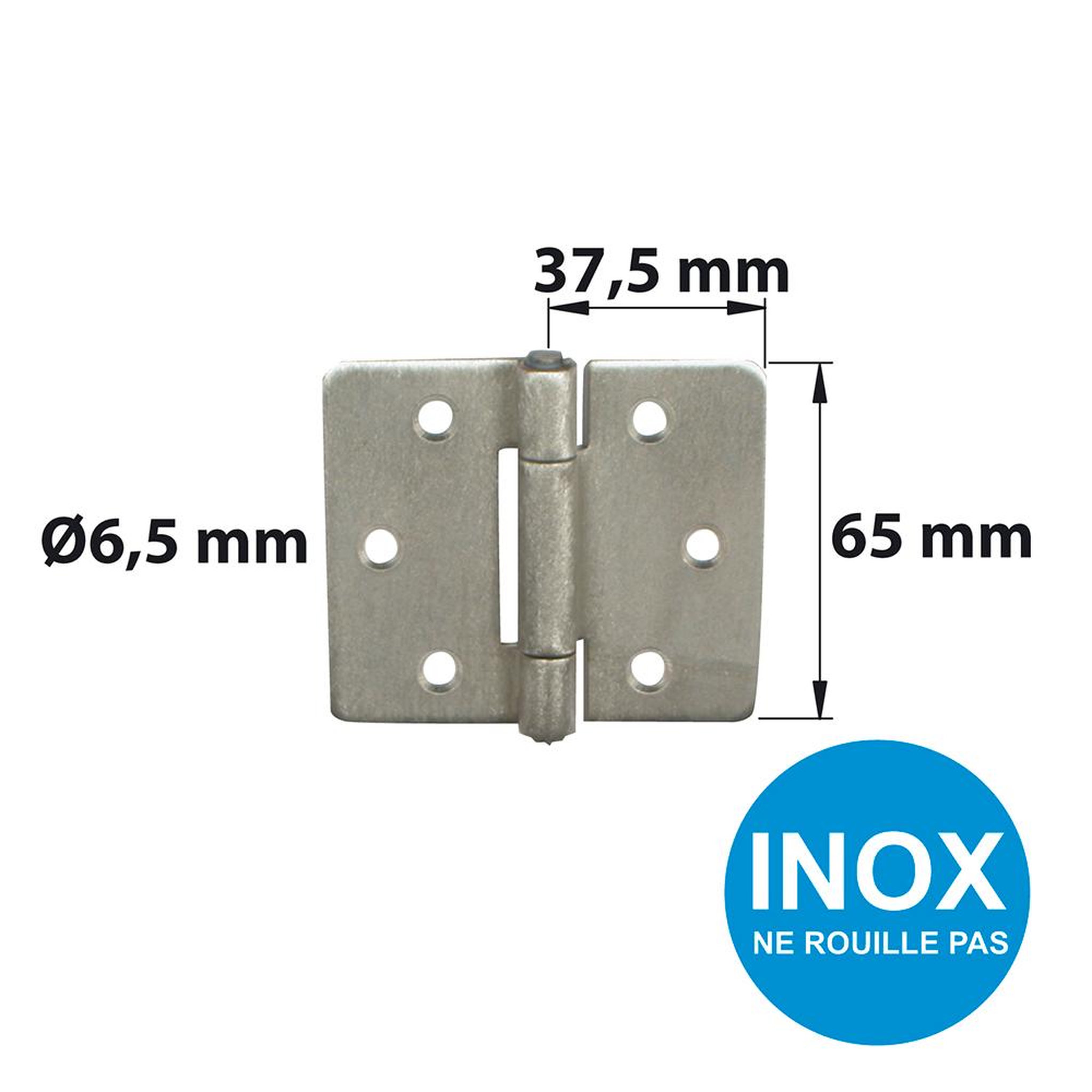 CENTRALE BRICO Charnière forte inox pour volets battants/pour porte battante, L.75 x l.75 mm