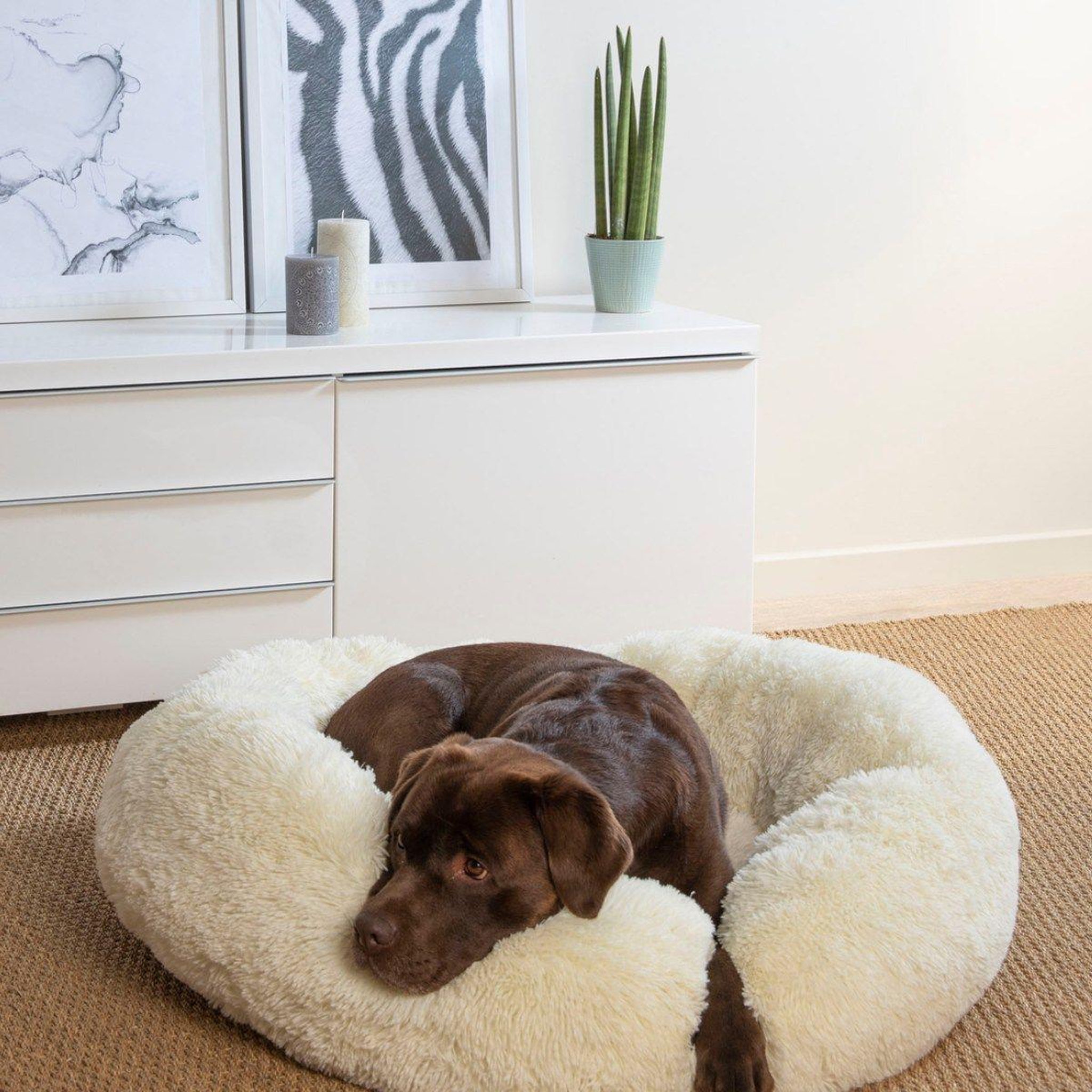 Voir la diapositive 3 : LOVE STORY Panier rond chien & chat  fluffy  95cm écru