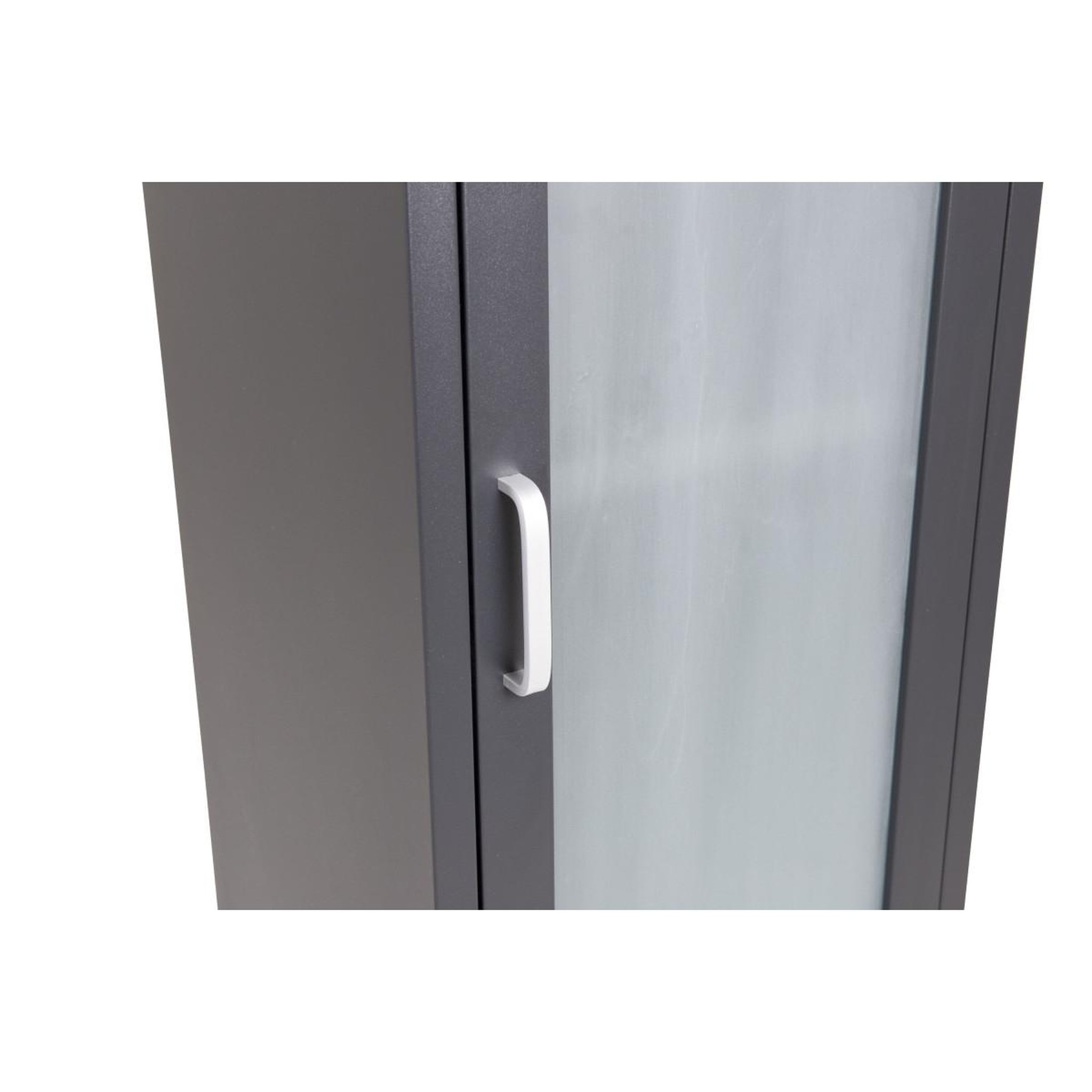 Voir la diapositive 5 : Paris Prix Vitrine avec porte givrée  acero  150cm noir