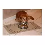 CALICOSY Tapis de repas pour chien - Lot de 2