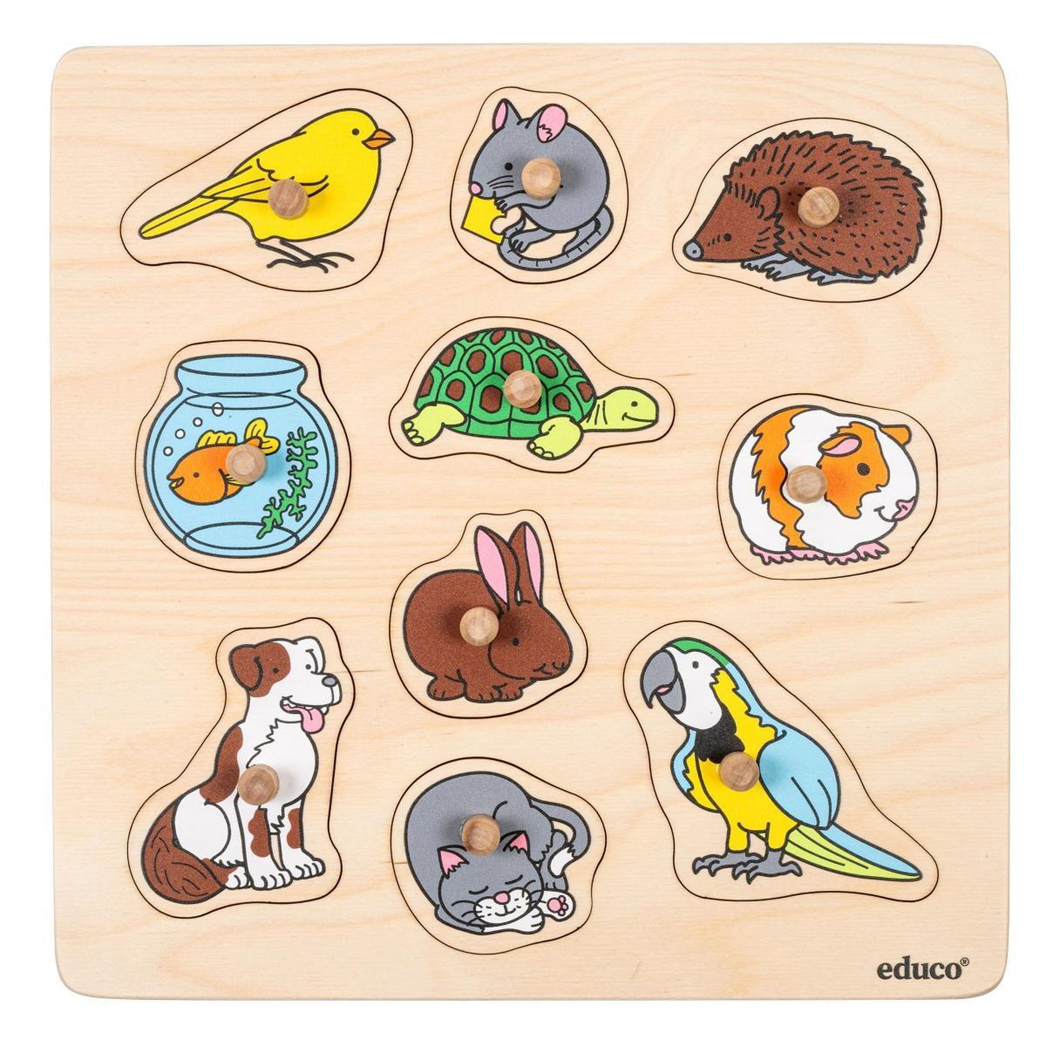 Voir la diapositive 2 : EDUCO Animaux domestiques — 10 pièces de puzzle