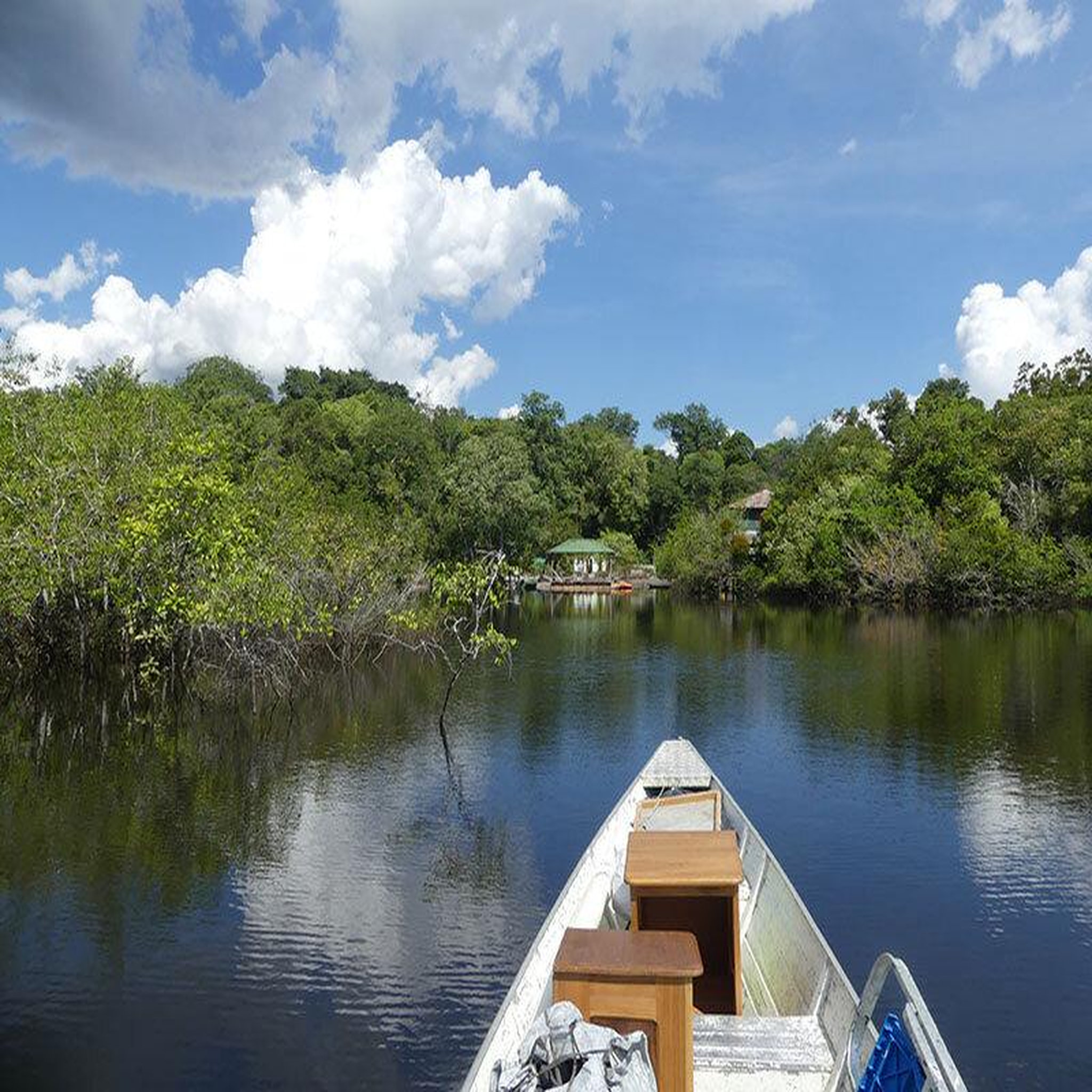 Voir la diapositive 5 : Smartbox Voyage tout compris en amazonie : 4 jours en lodge avec excursions dans la jungle - coffret cadeau séjour