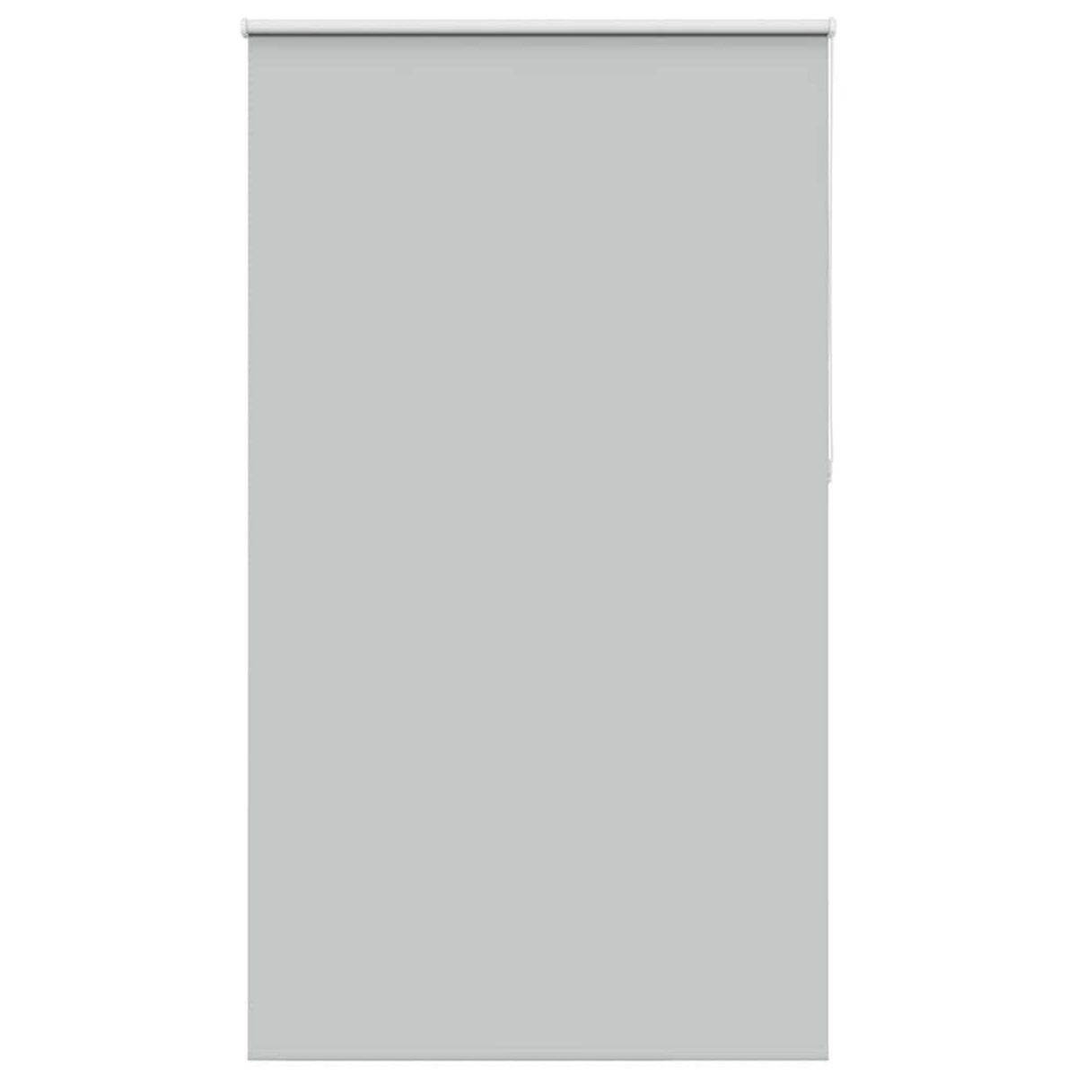 VIDAXL Store enrouleur occultant largeur du tissu 116,6 cm polyester