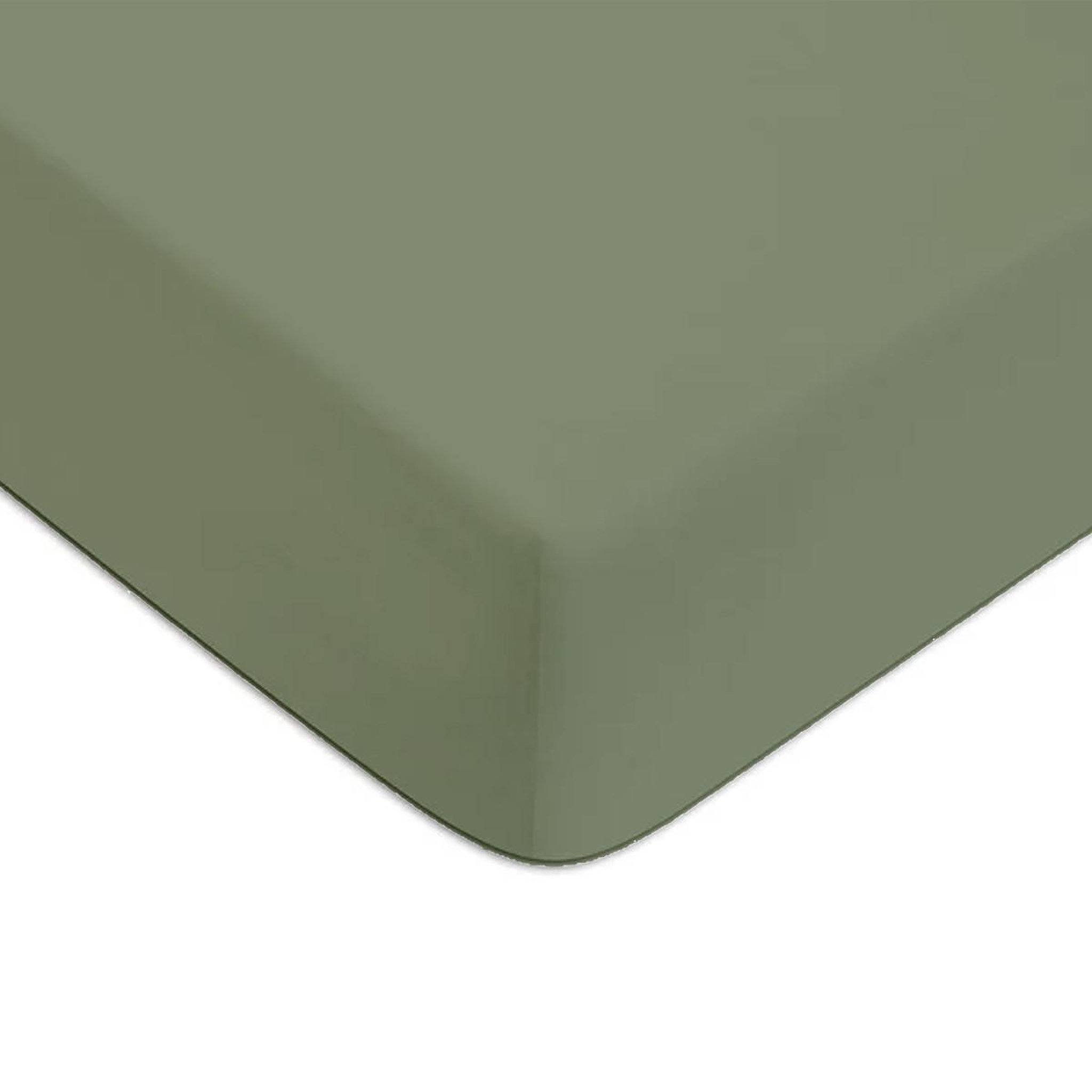 Voir la diapositive 1 : FUTURE HOME Drap housse en coton 57 fils uni bonnet 25cm