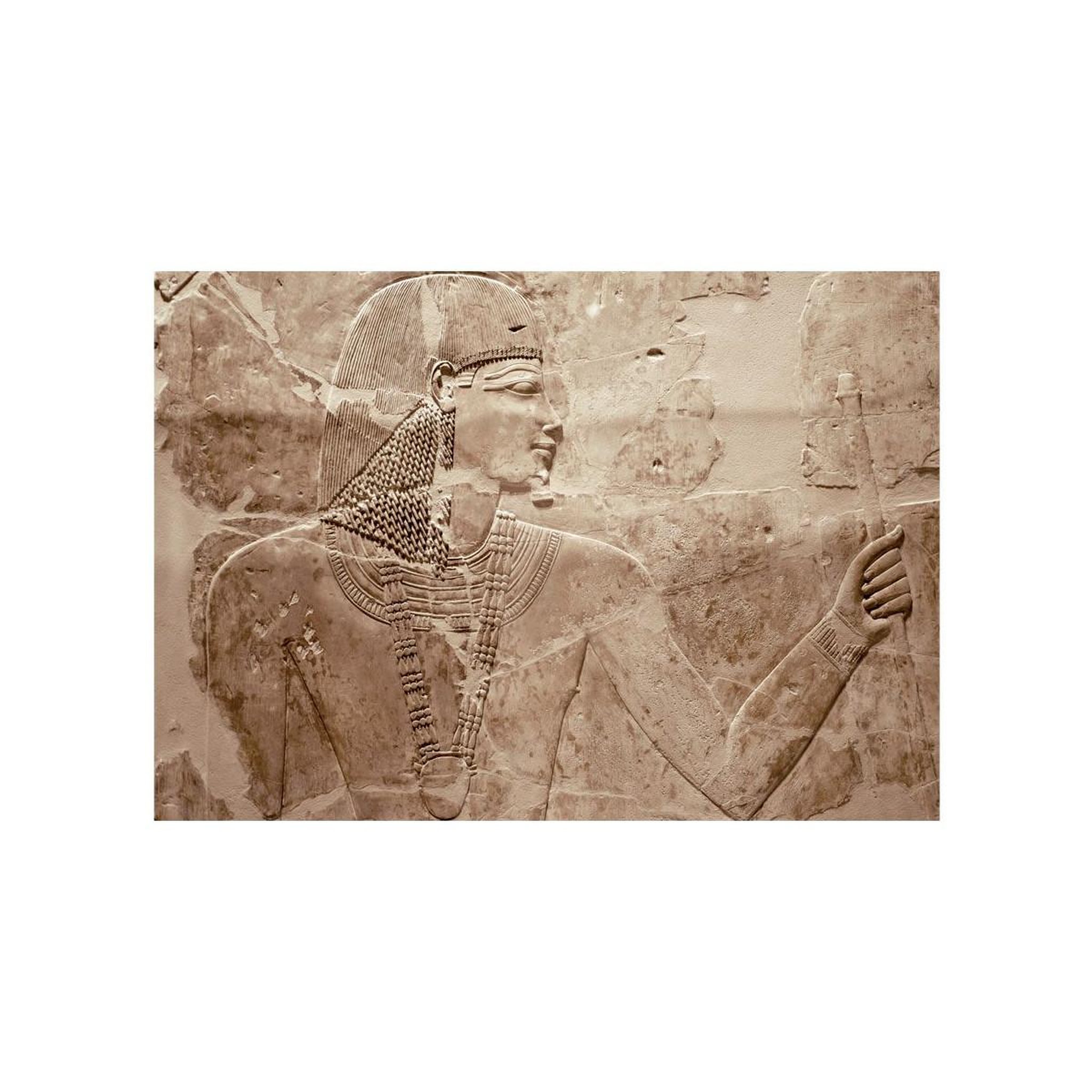 Voir la diapositive 2 : Paris Prix Papier Peint  Stone Pharaoh