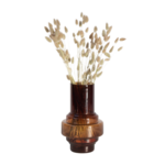 PLANT IN A BOX Fleurs séchées - Bouquet 'Lagurus Bunny Ears'