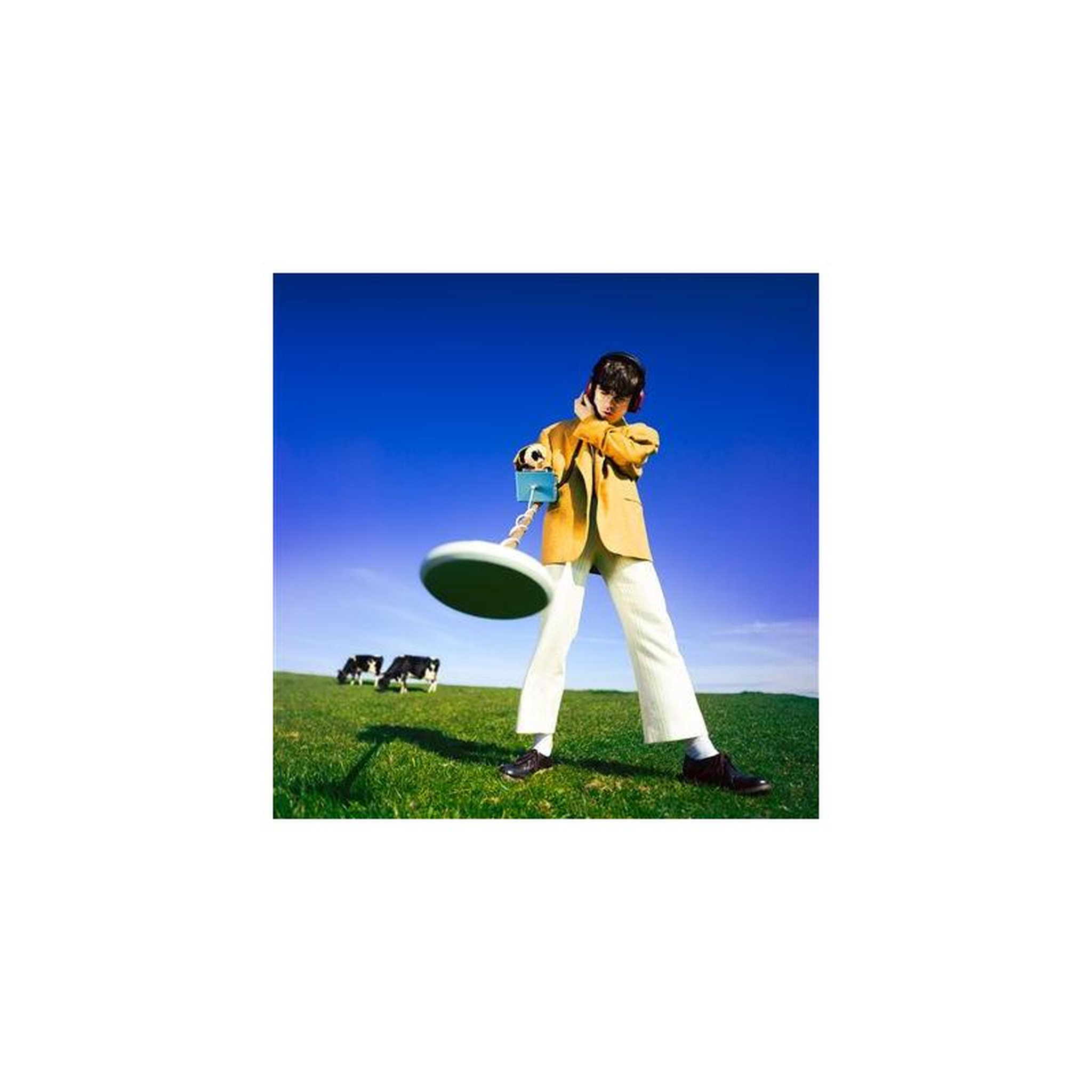 Album vinyle lp declan mckenna what happened to the beach? Édition eco-mix, 1 disque, pop folk