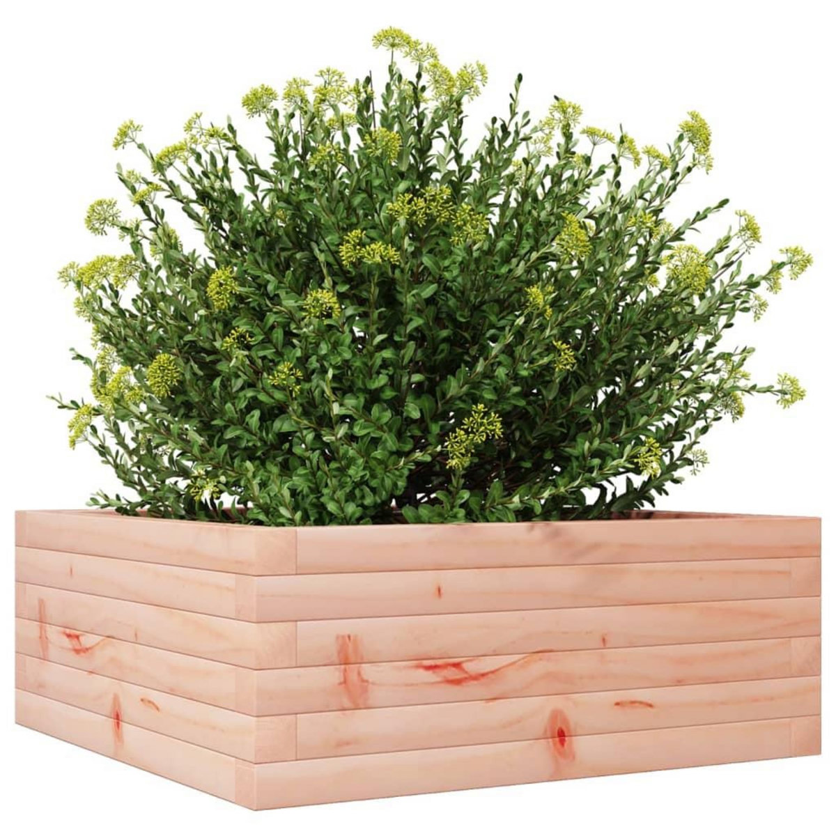 VIDAXL Jardiniere 60x60x23 cm bois massif douglas