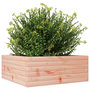 Voir la diapositive 4 : VIDAXL Jardiniere 60x60x23 cm bois massif douglas