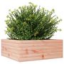 Voir la diapositive 4 : VIDAXL Jardiniere 60x60x23 cm bois massif douglas