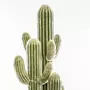  Plante Artificielle  Cactus 3 Troncs  148cm Vert