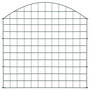 Voir la diapositive 2 : VIDAXL Ensemble de cloture de jardin arquee 77,5x78,5 cm vert