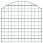 Voir la diapositive 2 : VIDAXL Ensemble de cloture de jardin arquee 77,5x78,5 cm vert