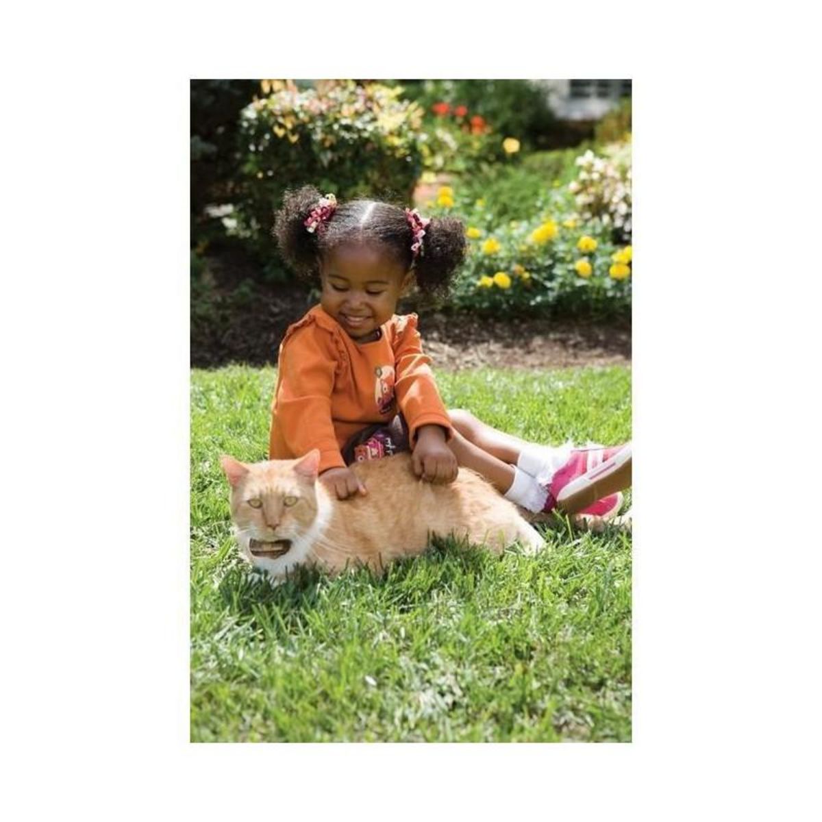 PETSAFE PETSAFE Cloture a fil special chat - collier a pile Deluxe In-Ground Cat Fence