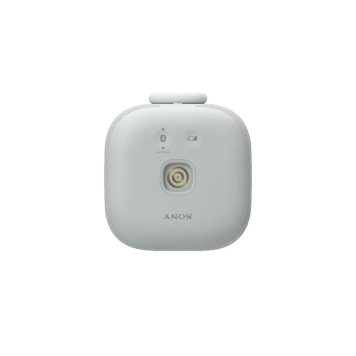 SONY Enceinte portable Bluetooth Sony LinkBuds Gris Clair