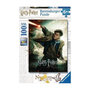 Voir la diapositive 1 : RAVENSBURGER RAVENSBURGER - Puzzle 100 pieces XXL Le monde fantastique dHarry Potter