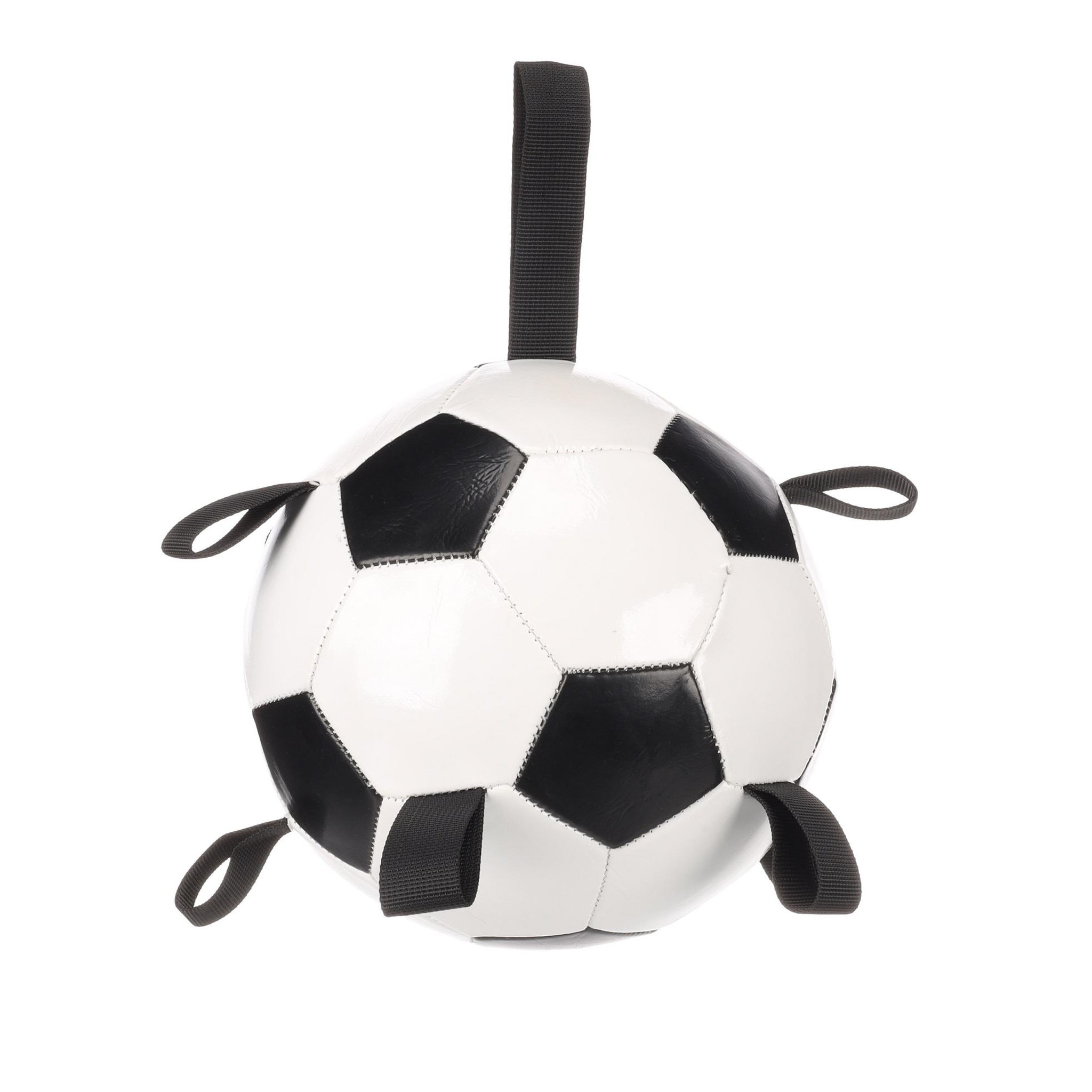 Voir la diapositive 1 : Eden Jeu ballon de football pour chien towa