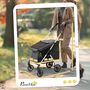 Voir la diapositive 3 : PAWHUT Poussette buggy chien 4 roues pliable - nombreux équipements - alu oxford gris