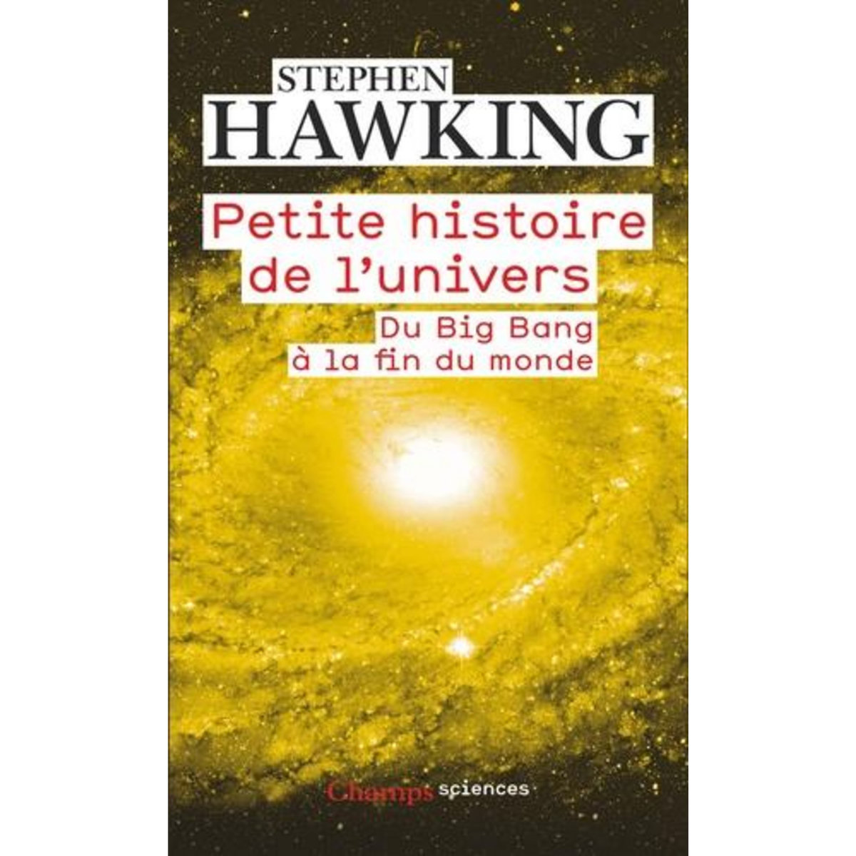 PETITE HISTOIRE DE L'UNIVERS. DU BIG BANG A LA FIN DU MONDE, Hawking Stephen