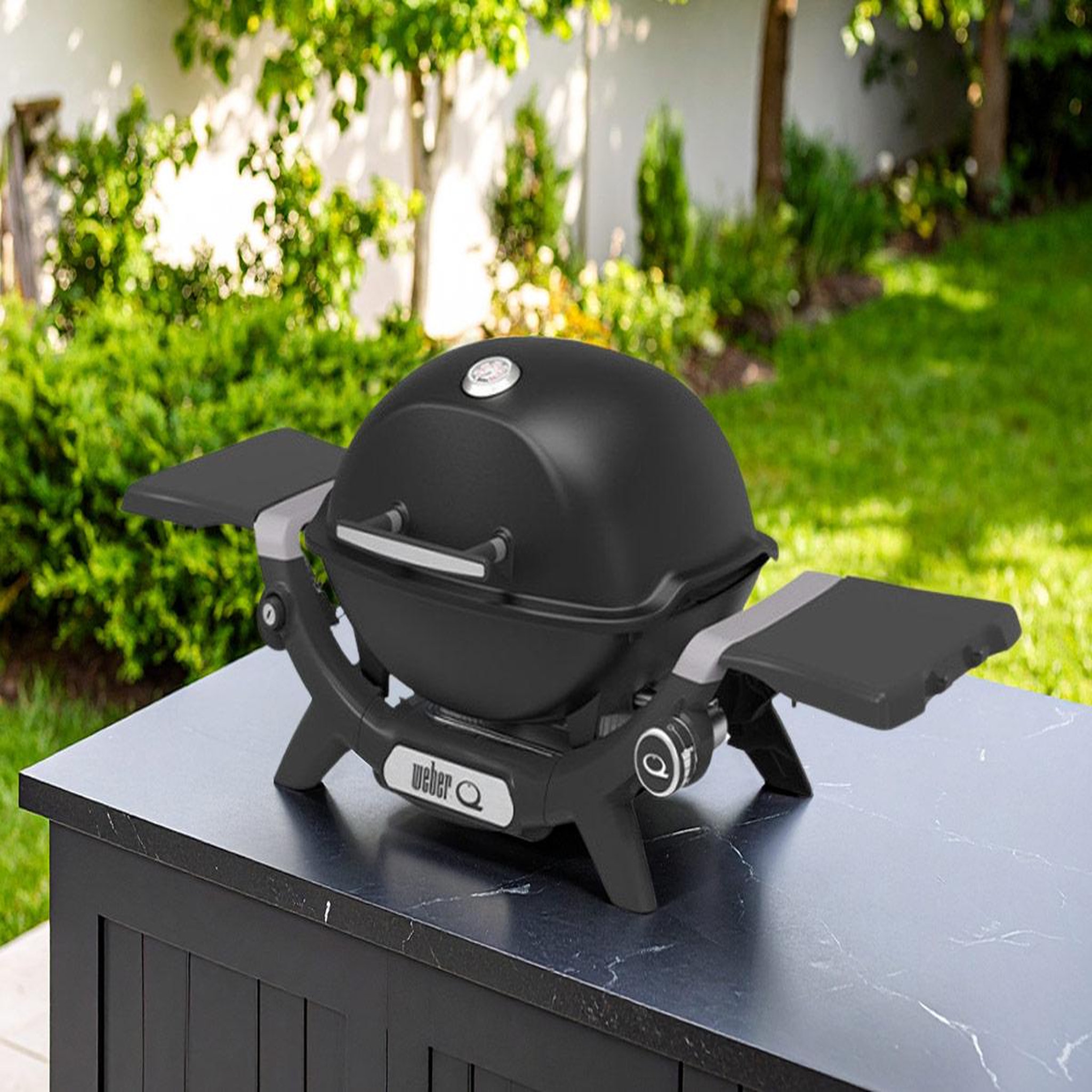 Voir la diapositive 2 : Weber Barbecue à gaz q 1200n noir - weber