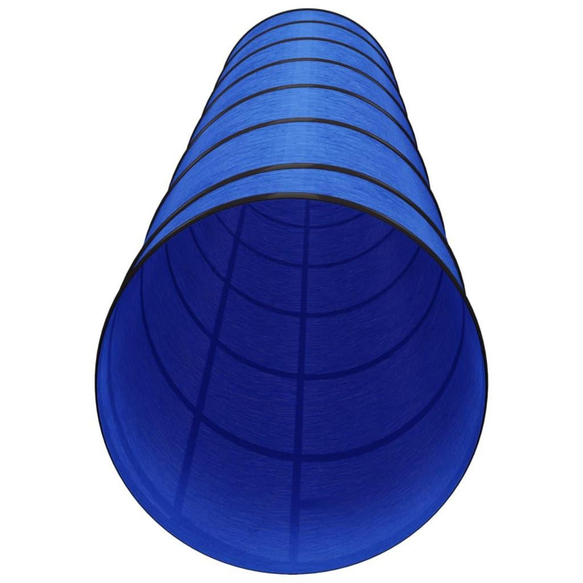 VIDAXL Tunnel pour chien bleu Ø 50x300 cm polyester