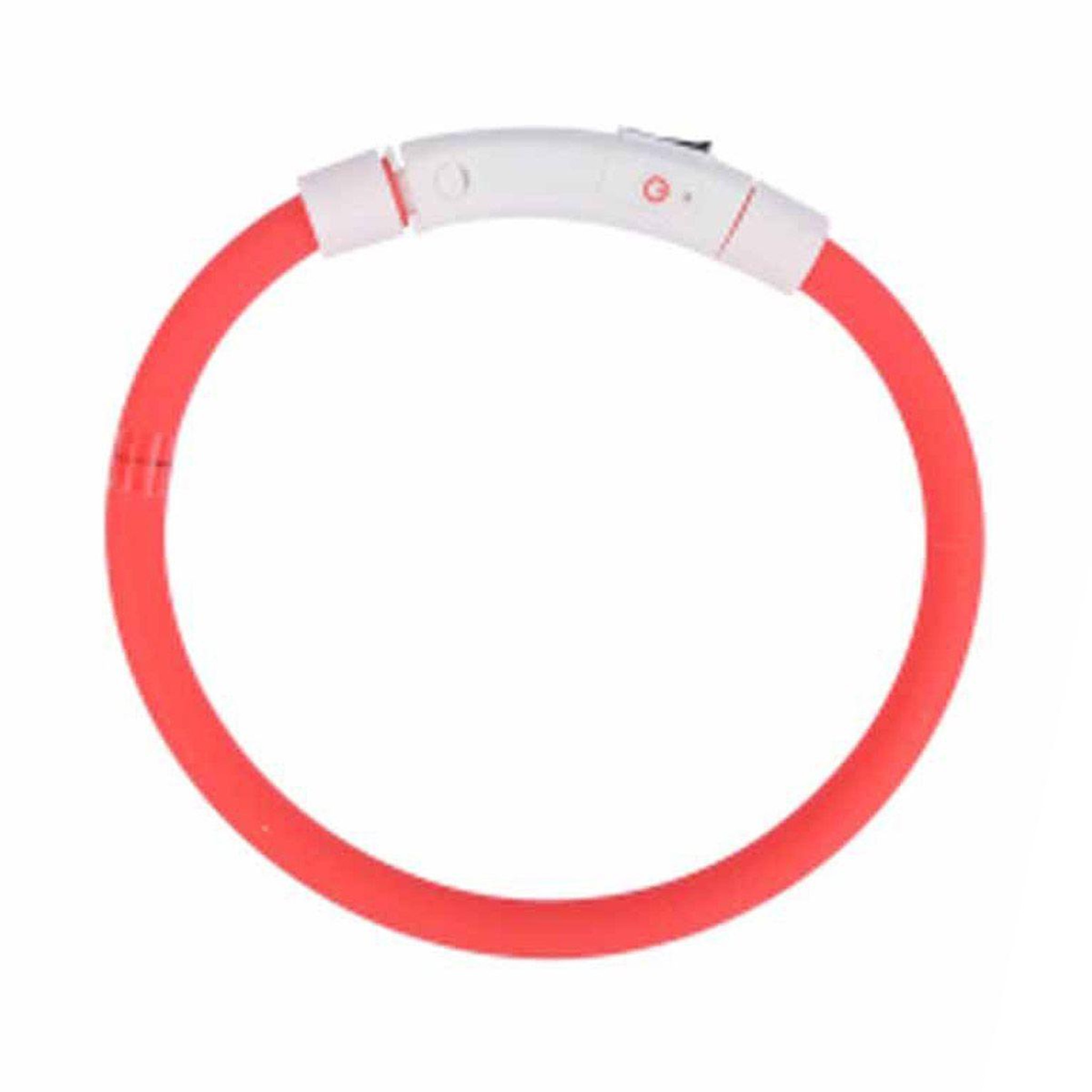 HOMEA Collier pour chien  usb & waterproof  70cm rouge