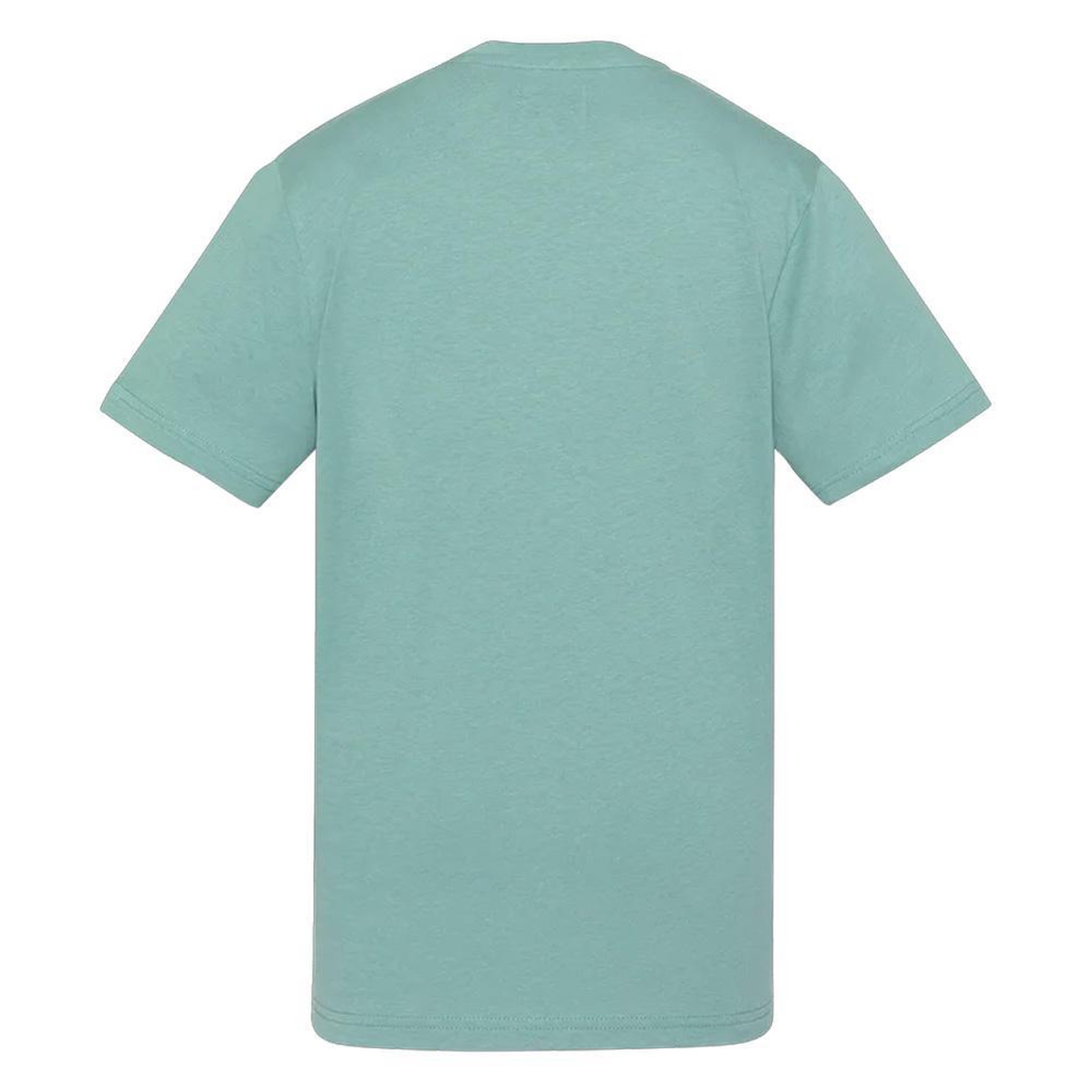 Voir la diapositive 2 : Schott T-Shirt Vert/Bleu Garçon Schott RODE