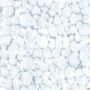 Voir la diapositive 2 : Noordwand Noordwand Papier peint Evergreen Watercolours blanc et bleu