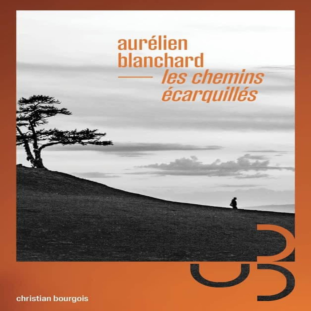 LES CHEMINS ECARQUILLES, Blanchard Aurélien