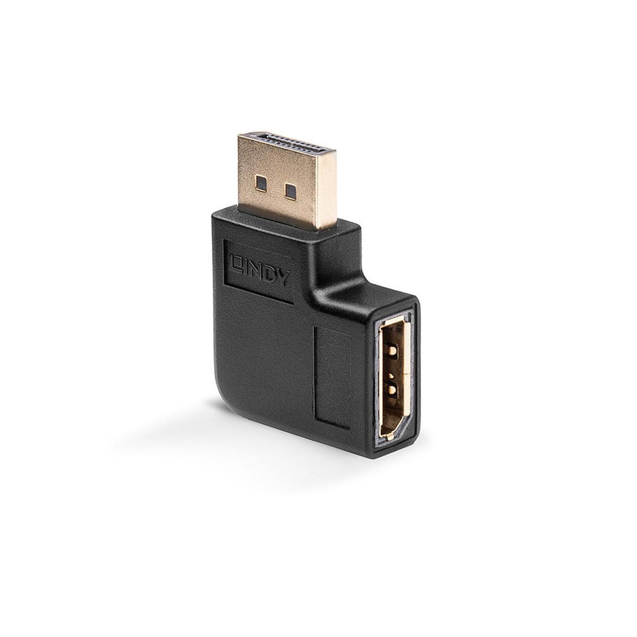 LINDY Lindy 41333 changeur de genre de câble DisplayPort Noir