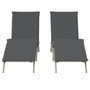 Voir la diapositive 5 : VIDAXL Chaises longues avec coussins lot de 2 gris resine tressee