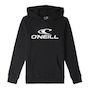 Voir la diapositive 1 : O'NEILL Sweat  Garçon O'Neill N4750004