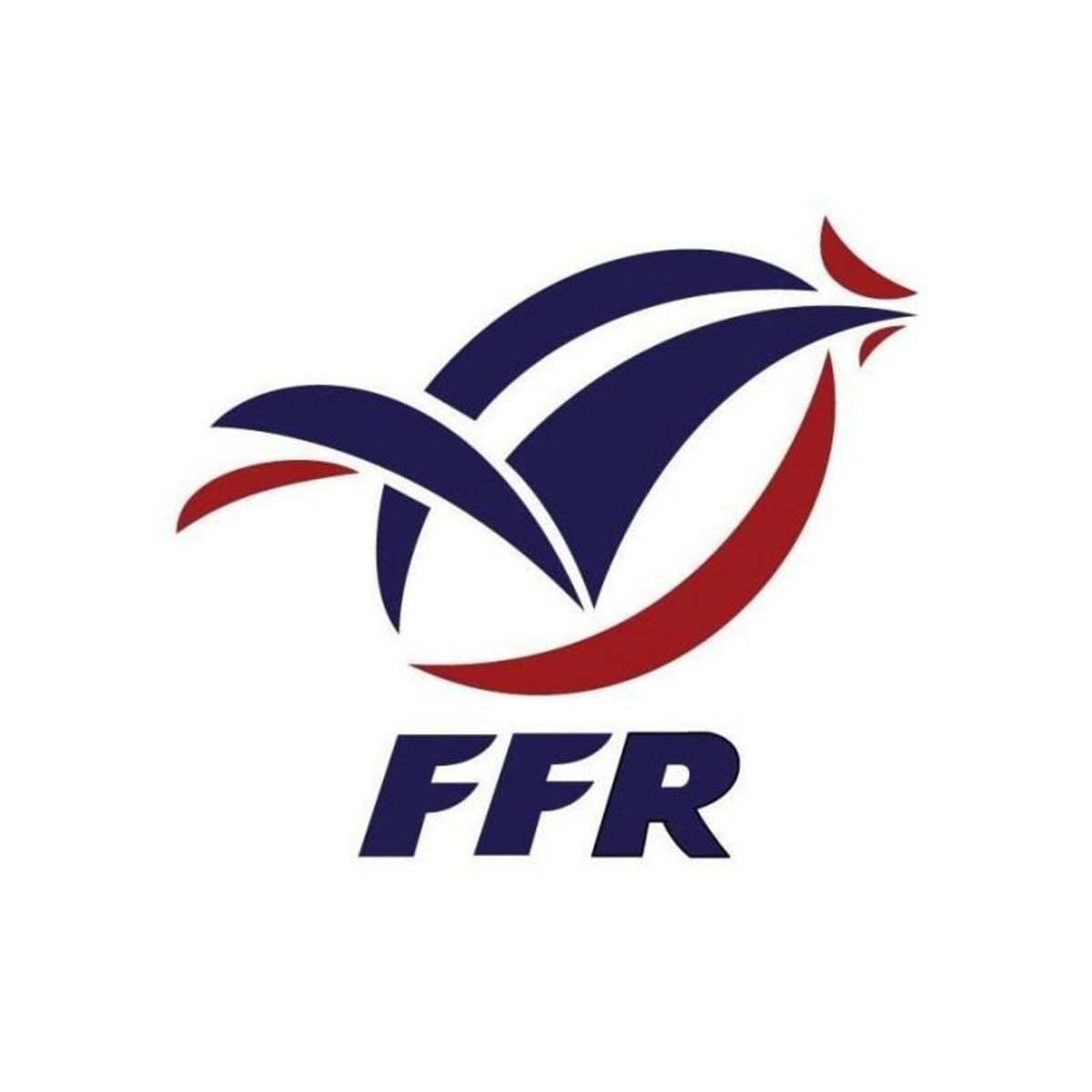 GILBERT GILBERT Ballon de rugby taille 5 supporter FRANCE